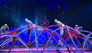 Le cirque du Soleil installe son chapiteau à Paris pour "Totem"