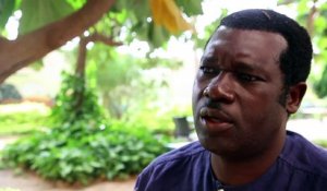 Burkina: polémique autour de moustiques OGM contre le paludisme