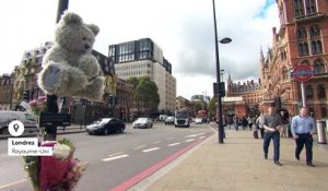Pollution de l'air : l'ours Toby donne l'alerte à Londres