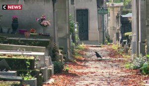 Des cimetières parisiens de plus en plus inaccessibles