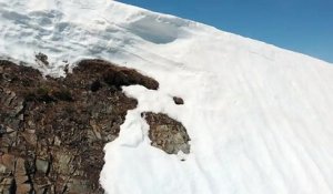 Un ourson glisse sur la neige sur cet flan de montagne et n'arrive pas à rejoindre sa maman
