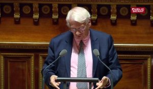 Brexit : les sénateurs mettent en garde le gouvernement