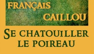 Français caillou / Définition du jour : "Se chatouiller le poireau"