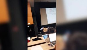 Trois étudiants lâchent un cygne dans un amphi (Clermont-Ferrand)