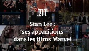 Mort de Stan Lee : ses caméos dans les films Marvel