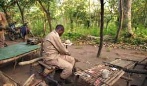 L'impossible mission des gardes forestiers en Centrafrique