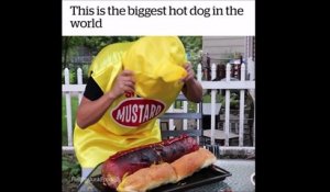 Voici le plus gros hotdog au monde