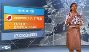 VIDÉO - La fessée bientôt être interdite en France