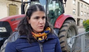Forbach : les agriculteurs dialoguent avec la sous-préfète