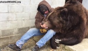 Une belle histoire d'amour entre un grizzly et son dresseur