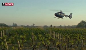 Vignobles : des bougies et des hélicoptères pour lutter contre le gel