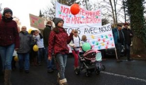 Manifestation à Altkirch: "Je ne vois pas le Sundgau sans sa maternité"
