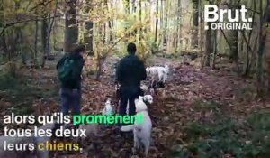 Koffi est dog sitter dans une pension pour chiens