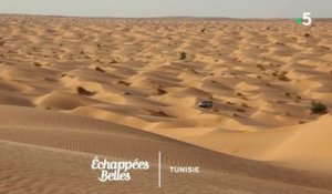Tunisie, le soleil de la Méditerranée - Échappées belles