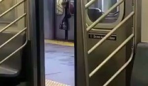 Une femme se coince la tête dans une rame de métro !