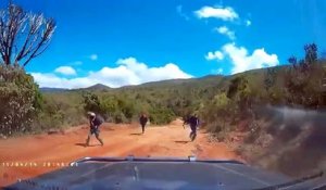 Attaque à la machette sur une route (Kenya)