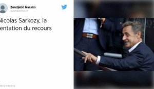 Nicolas Sarkozy, la tentation du recours