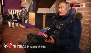 France 2 nous fait visiter la première "maison de retraite" pour... chiens ! Regardez