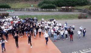 Un flash mob au collège Evariste-Galois d’Algrange