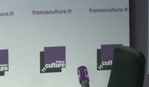 Jean Pisani-Ferry : Les mesures sociales "consistent à anticiper des mesures qui devaient graduellement entrer en application"