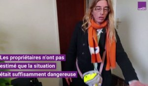 Des fissures inquiétantes dans un logement en Seine-et-Marne