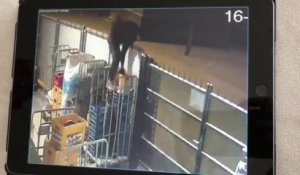 Un voleur reste coincé, suspendu au portail d'un supermarché