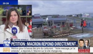 Laetitia Dewalle salue "le geste d'Emmanuel Macron d'avoir fait l'effort de répondre" à la pétition de change.org
