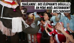 Thaïlande : des éléphants déguisés en père Noël distribuent des cadeaux