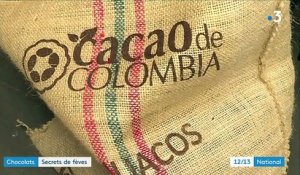 Chocolats : une enseigne se lance dans la torréfaction de son cacao