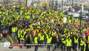 "Gilets jaunes" : mobilisation en demi-teinte