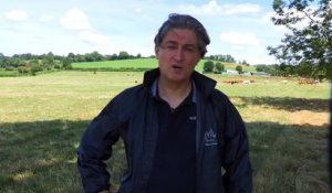 Vidéo. Que sont devenus les vaches sauvées il y a un à Saint-Vit (Doubs) par la Fondation Brigitte Bardot