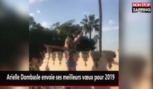 Arielle Dombasle déjantée : La star envoie ses meilleurs vœux pour 2019