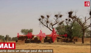 Mali : tuerie dans un village peul du centre