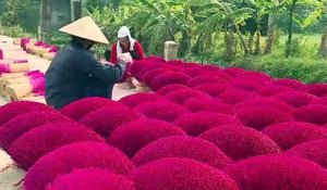 Vietnam: le village de l'encens se pare de rose à l'approche du