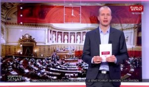 Protection des enfants contre la pédophilie : le sénat poursuit sa mission d'inf - Les matins du Sénat (10/01/2019)