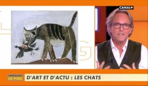 D'art et d'actu : Les chats - L'info du vrai du 10/01 - CANAL+
