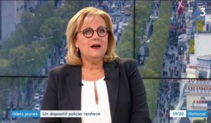 "Gilets jaunes" : un dispositif policier renforcé pour ce neuvième samedi de mobilisation