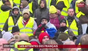 la grande consultation citoyenne - Sénat 360 (14/01/2019)