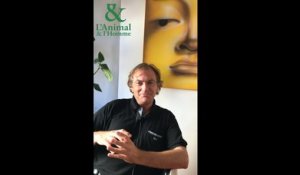 Interview 5 de Didier Van Cauwelaert : Les abeilles ont inventé la flexibilité de l’emploi