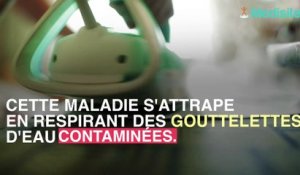 Legionellose : la douche la zone la plus à risque