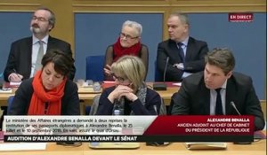 Audition au Sénat: Devant les sénateurs, Alexandre Benalla reconnaît avoir commis "un certain nombre d'erreurs" - VIDEO