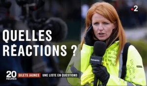 Gilets jaunes : Quelles réactions après la formation d'une liste pour les Européennes ? Regardez