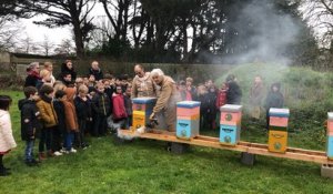 L’école Amélie Fristel récoltera son propre miel