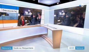 Découverte : escale au parc du Marquenterre