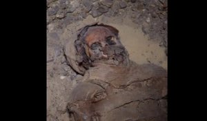Plus de 40 momies découvertes en Égypte