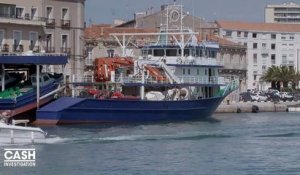 "Cash Investigation" découvre de mystérieux bateaux de pêche libyens dans le port de Sète