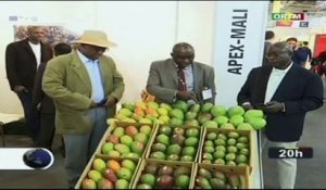 ORTM/Foire d’exposition des produits agricoles en Allemagne -  Le Mali y a pris part