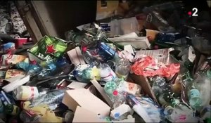 Écologie : recycler le plastique grâce à la consigne