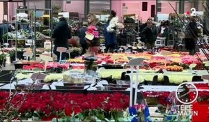 Toulouse : les fleuristes font leur stock de roses rouges pour la Saint-Valentin