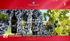 Vins de Bordeaux : des Chinois rebaptisent des châteaux